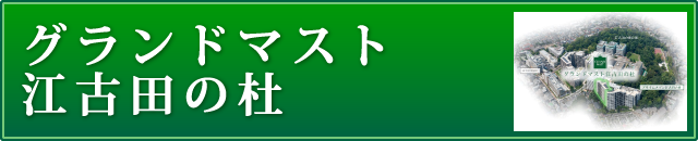 グランドマスト江古田の杜